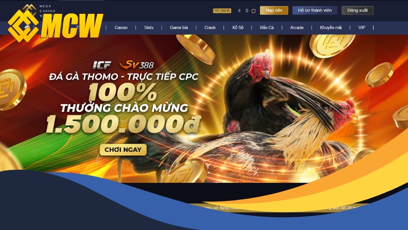 Giới thiệu về sảnh đá gà MCW hấp dẫn và cuốn hút